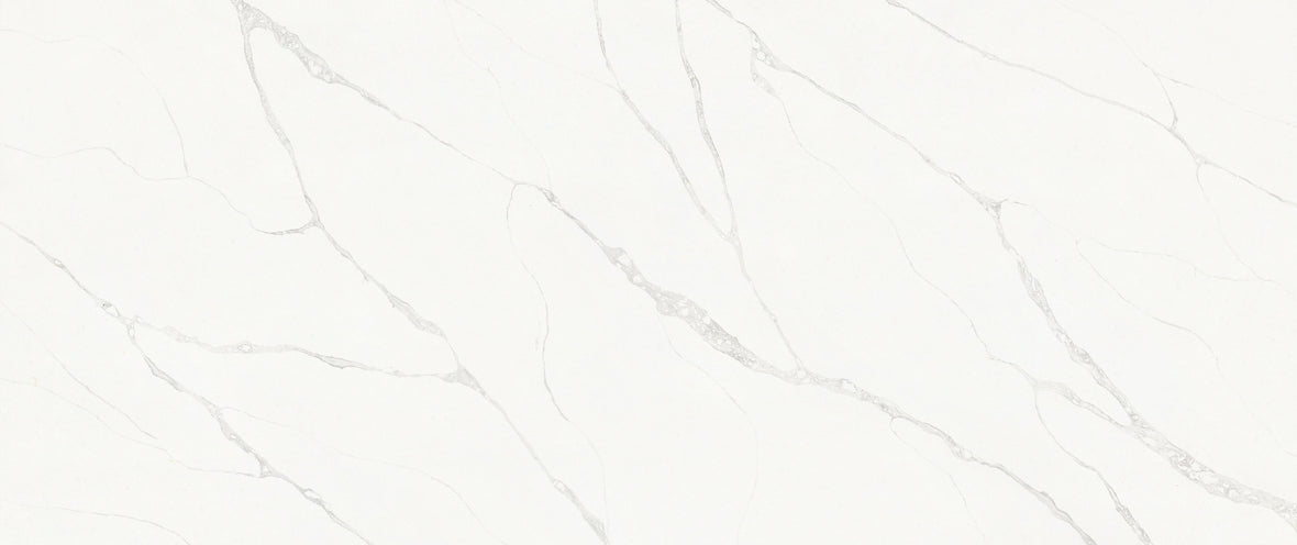 CSD 004