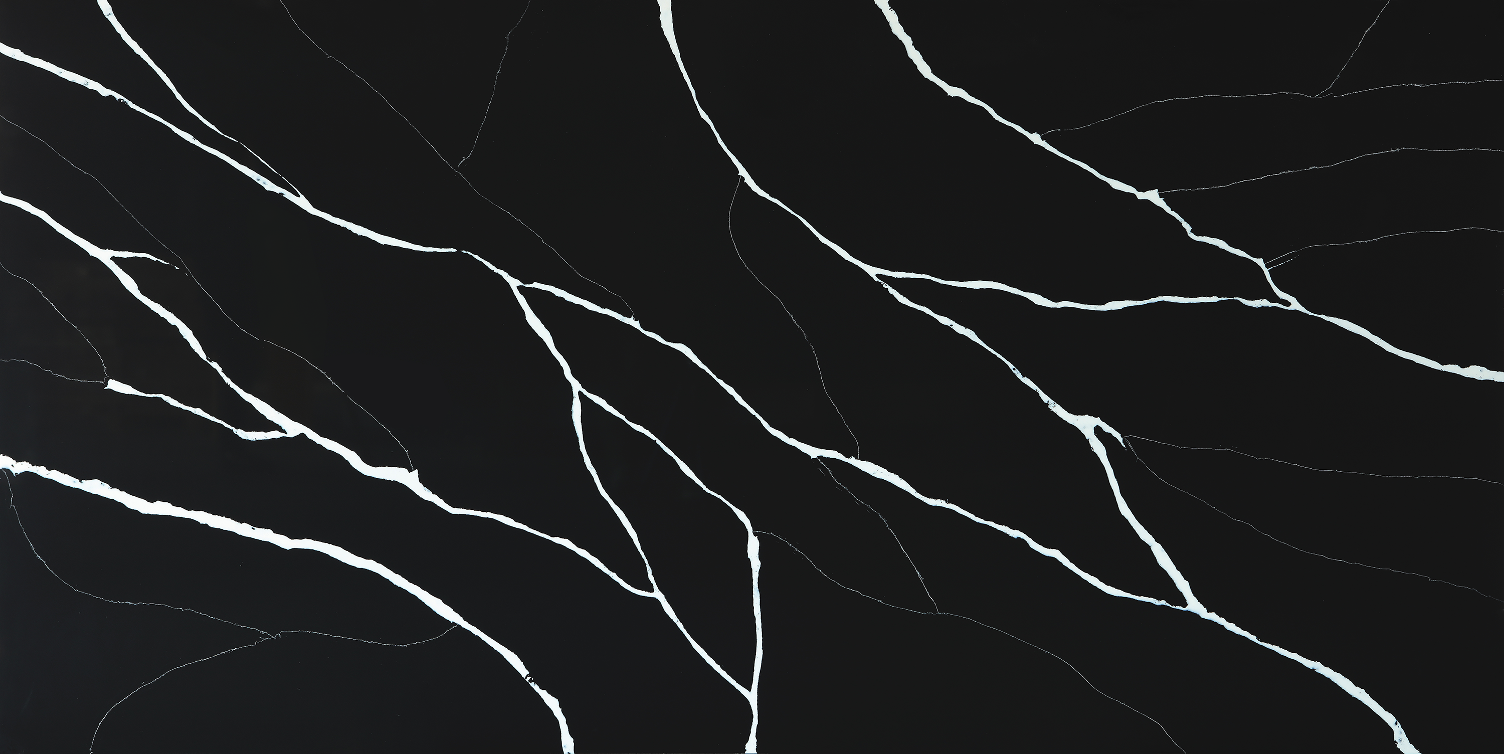 CS 2046 Marquina