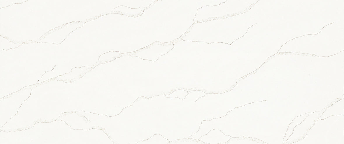 CSD 016