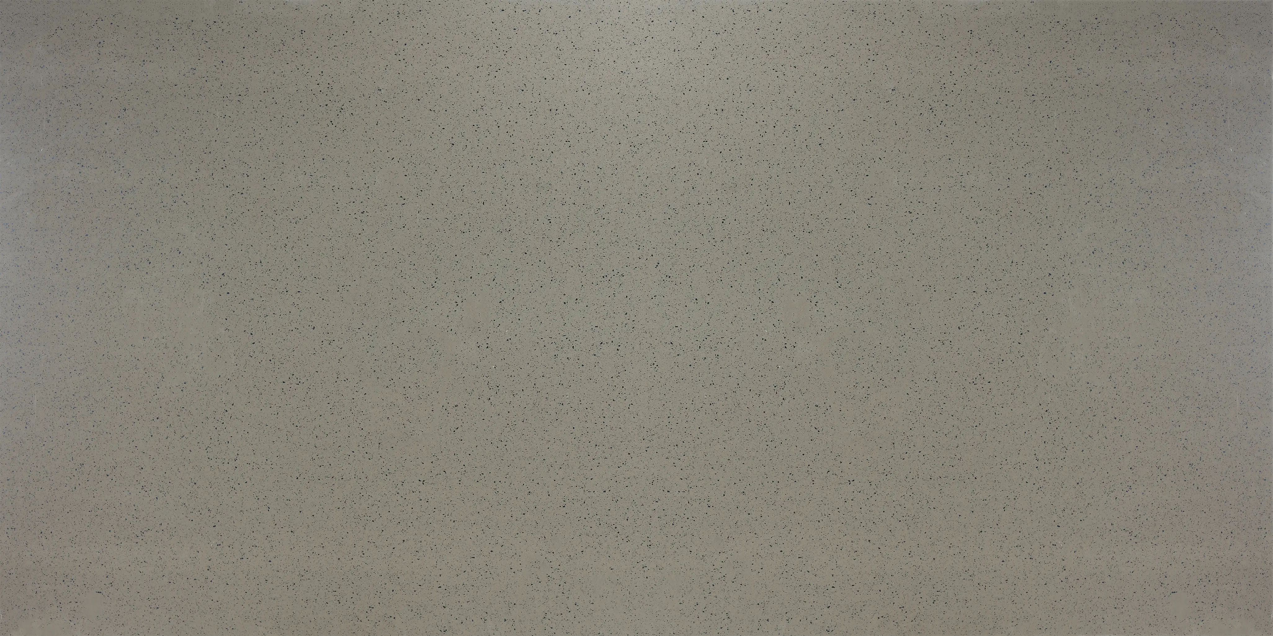 CS 4020 Reflective Grey
