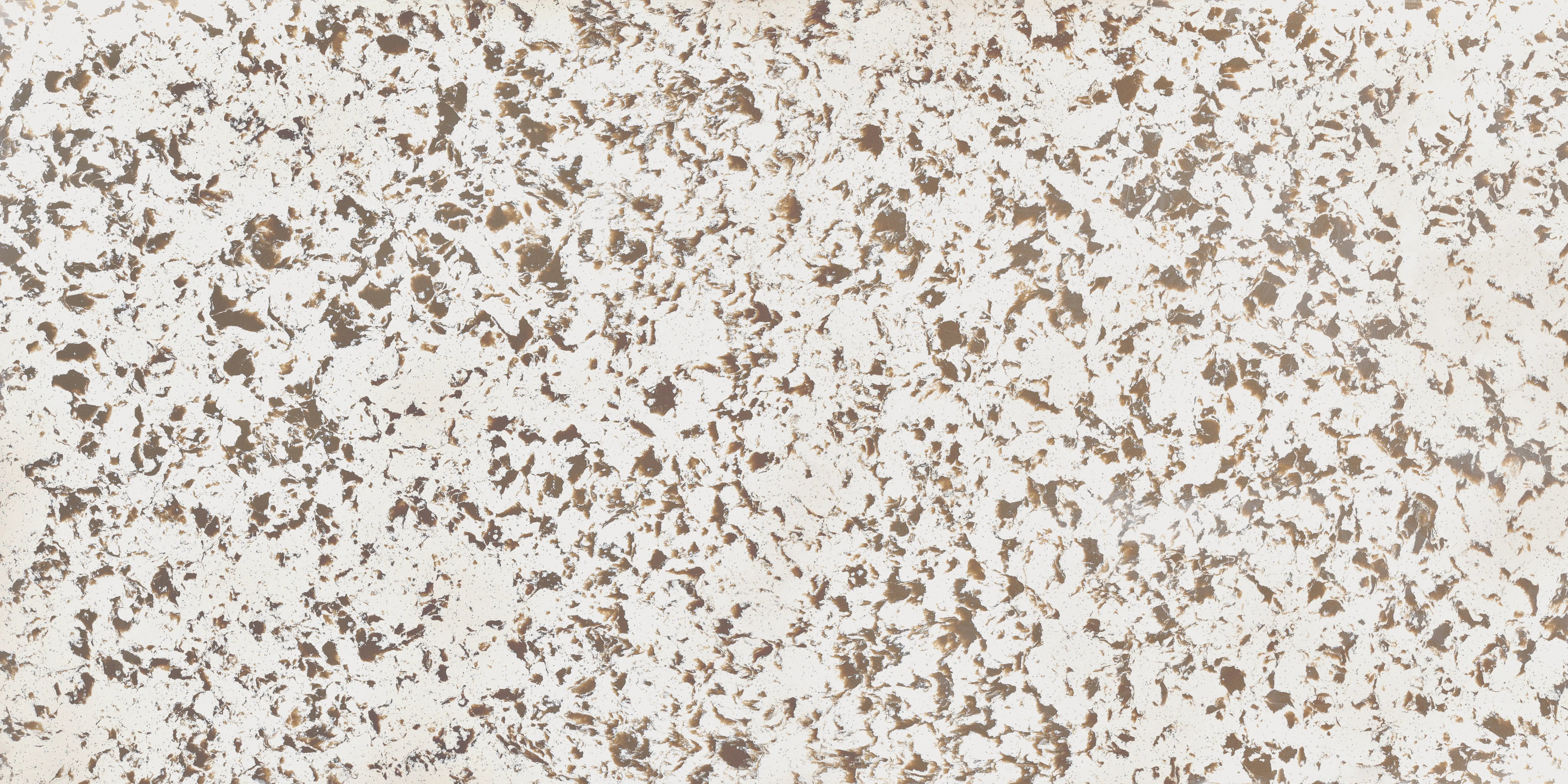 CS 6021 Sepia Swirl