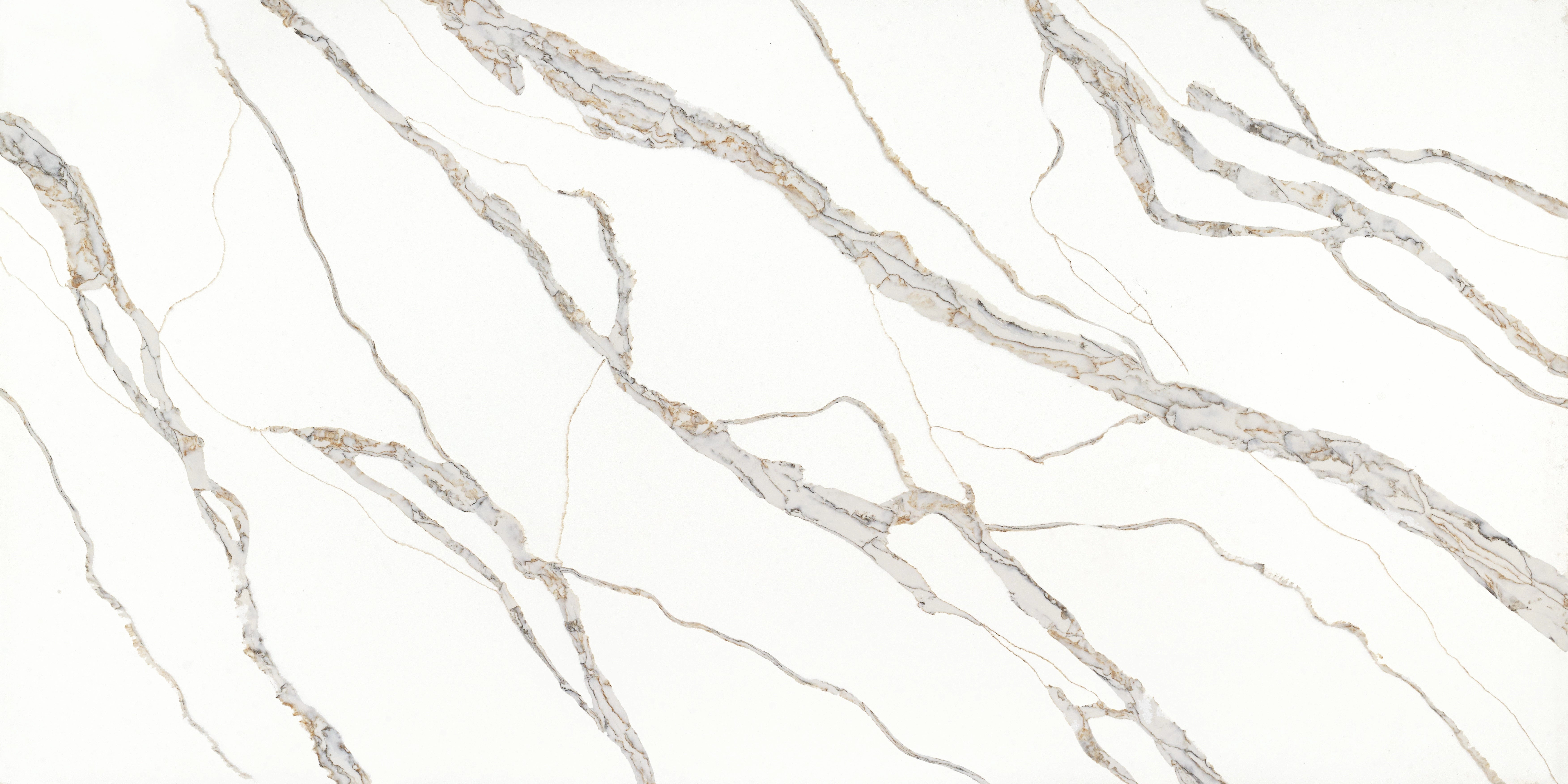 CS 4045 Antico