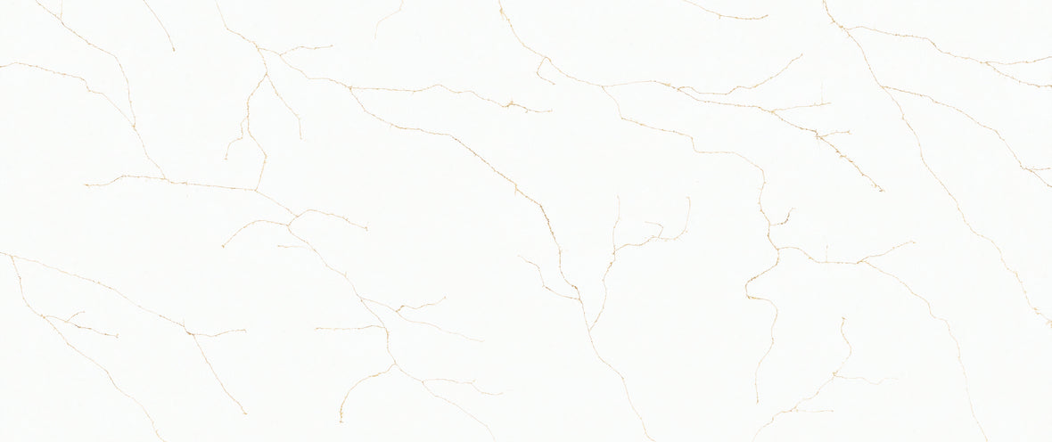 CSD 017