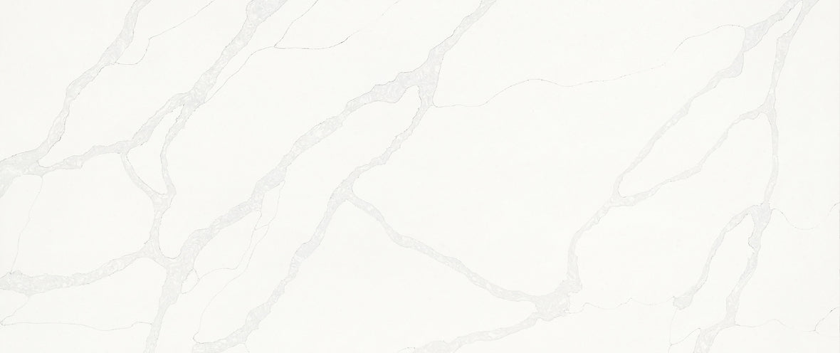 CSD 001