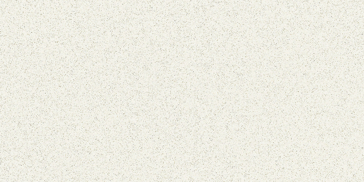 CS 1109