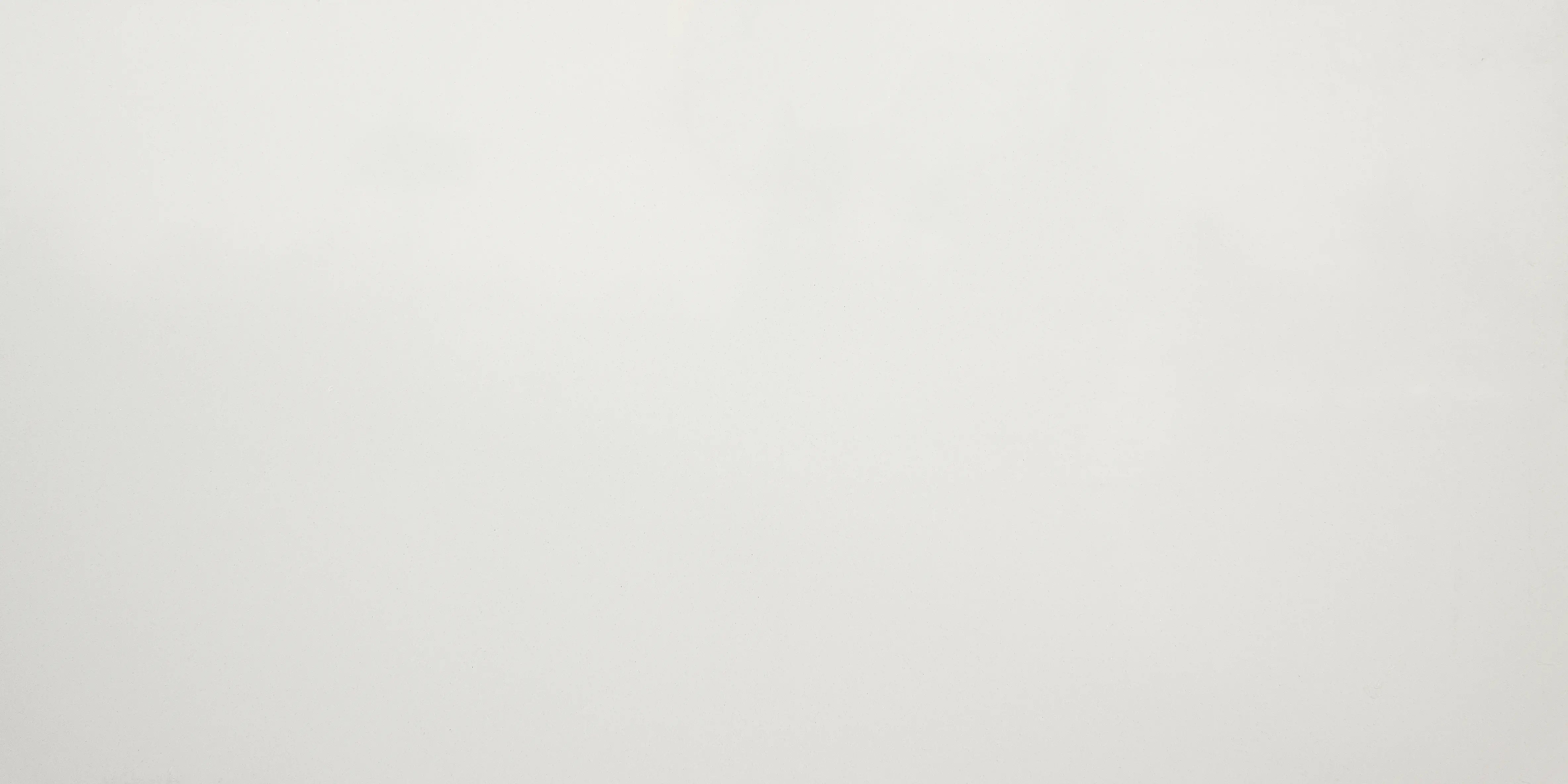 CS 8003 Icy Mist