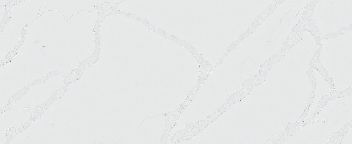 CS 8802