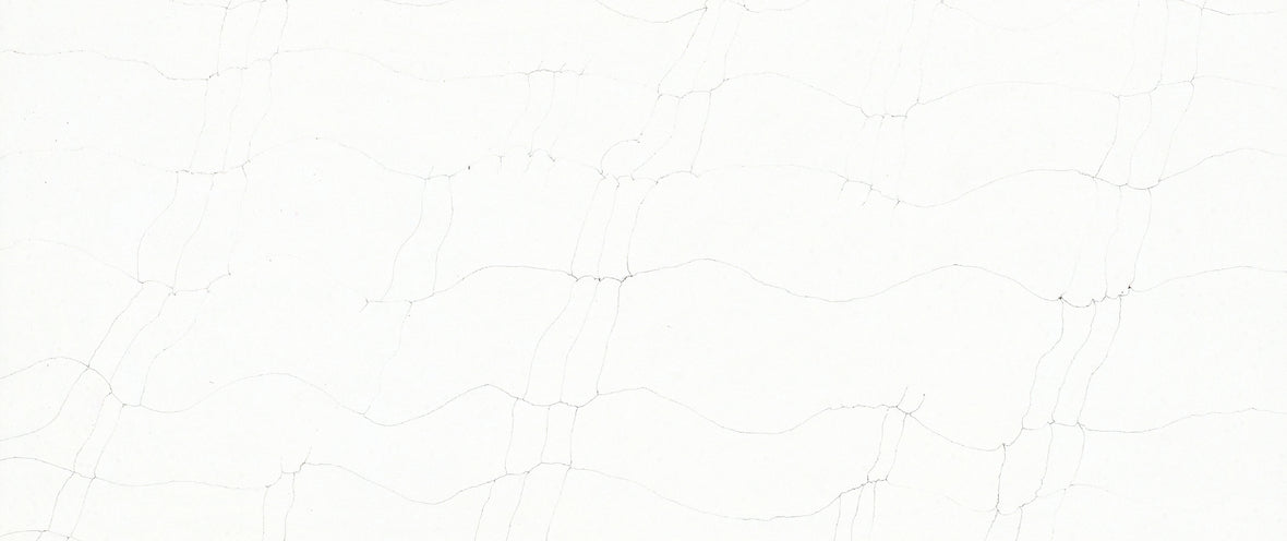 CSD 008
