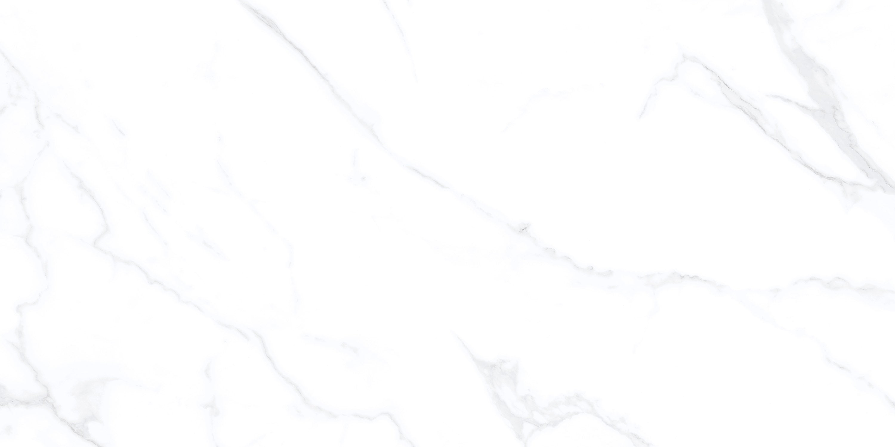 Neo Sunny Carrara