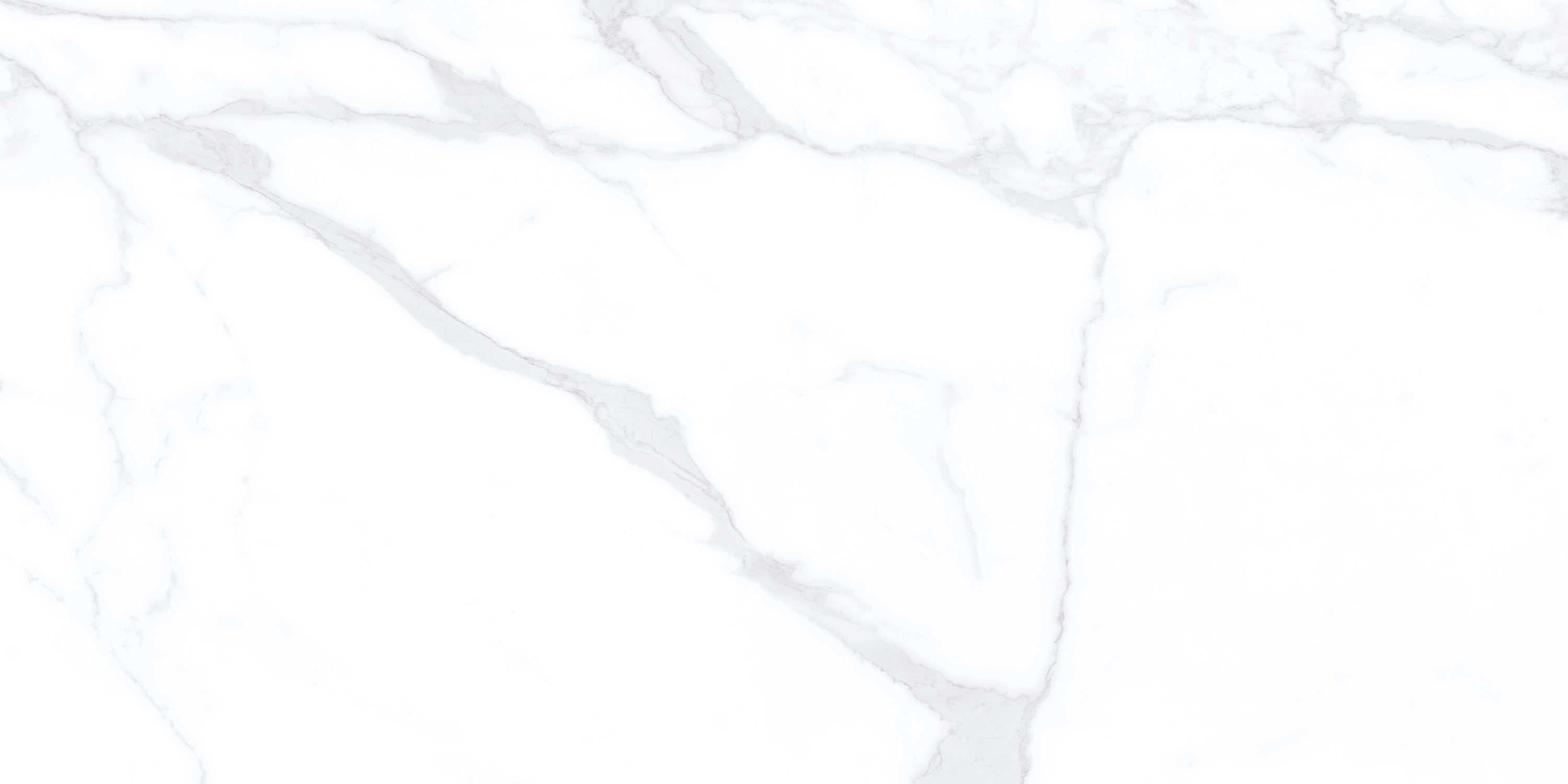 Neo Sunny Carrara
