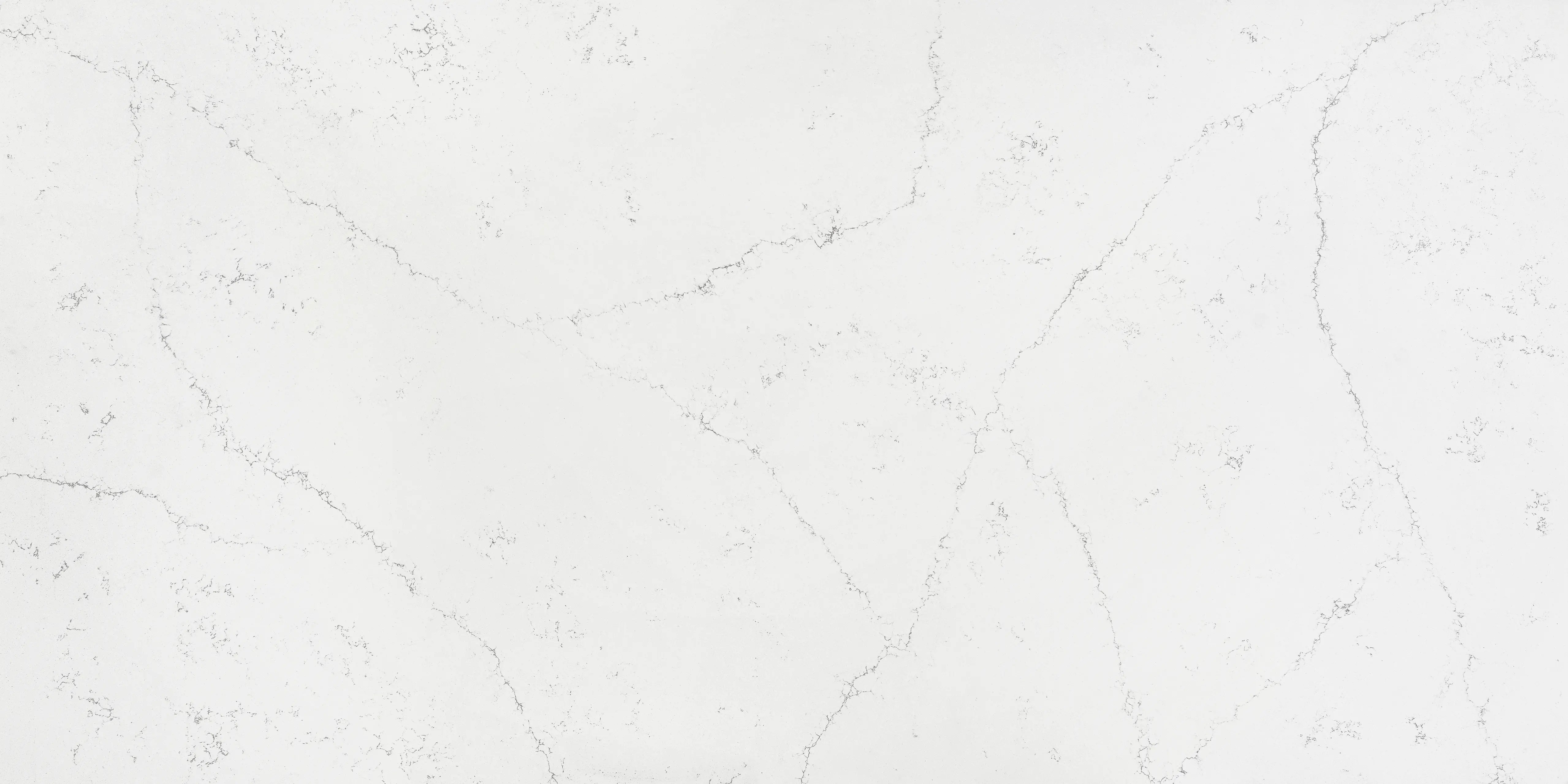 CS 4035 Blossom