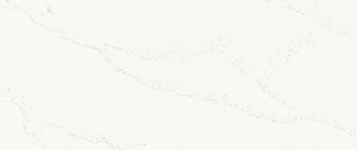 CSV 009