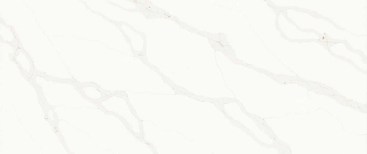 CSV 005