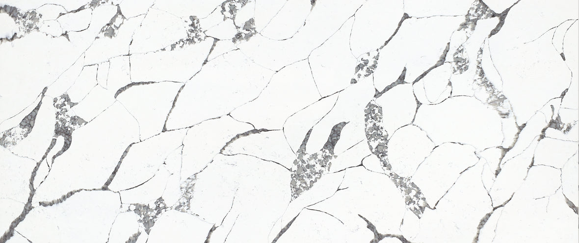 CSD 005