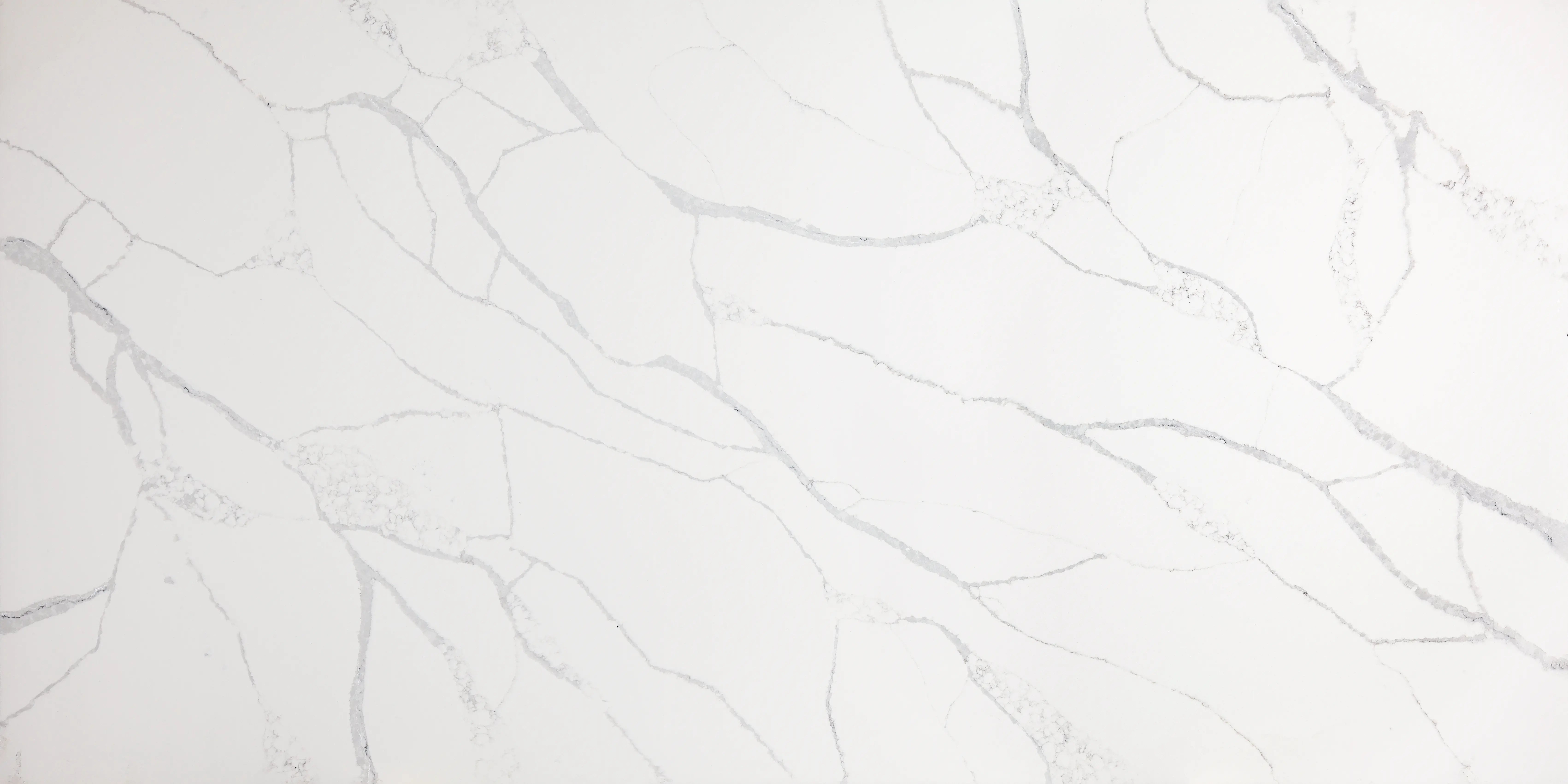 CS 4029 Calacatta Max