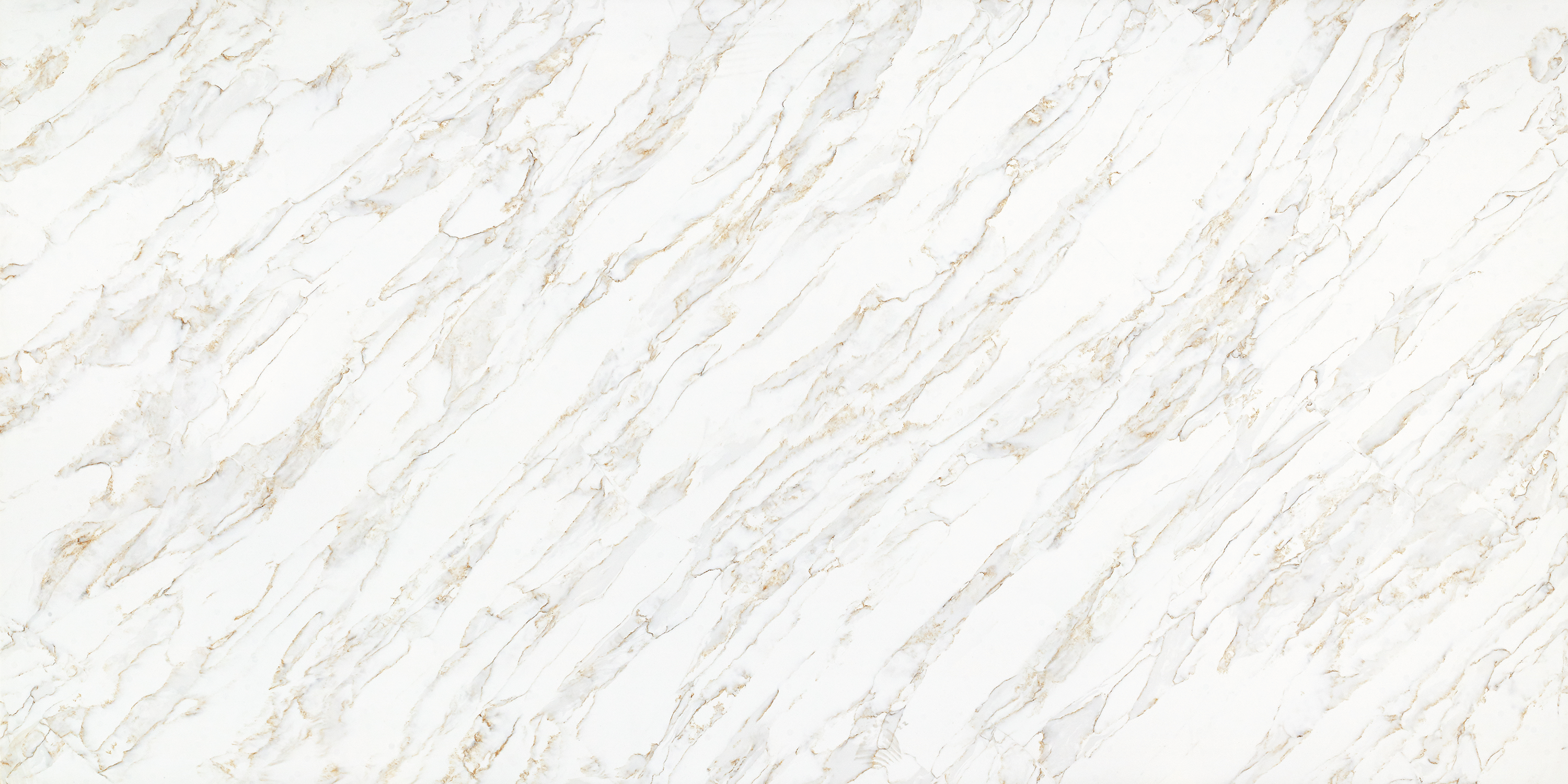 CS 4042 Seraphina Oro